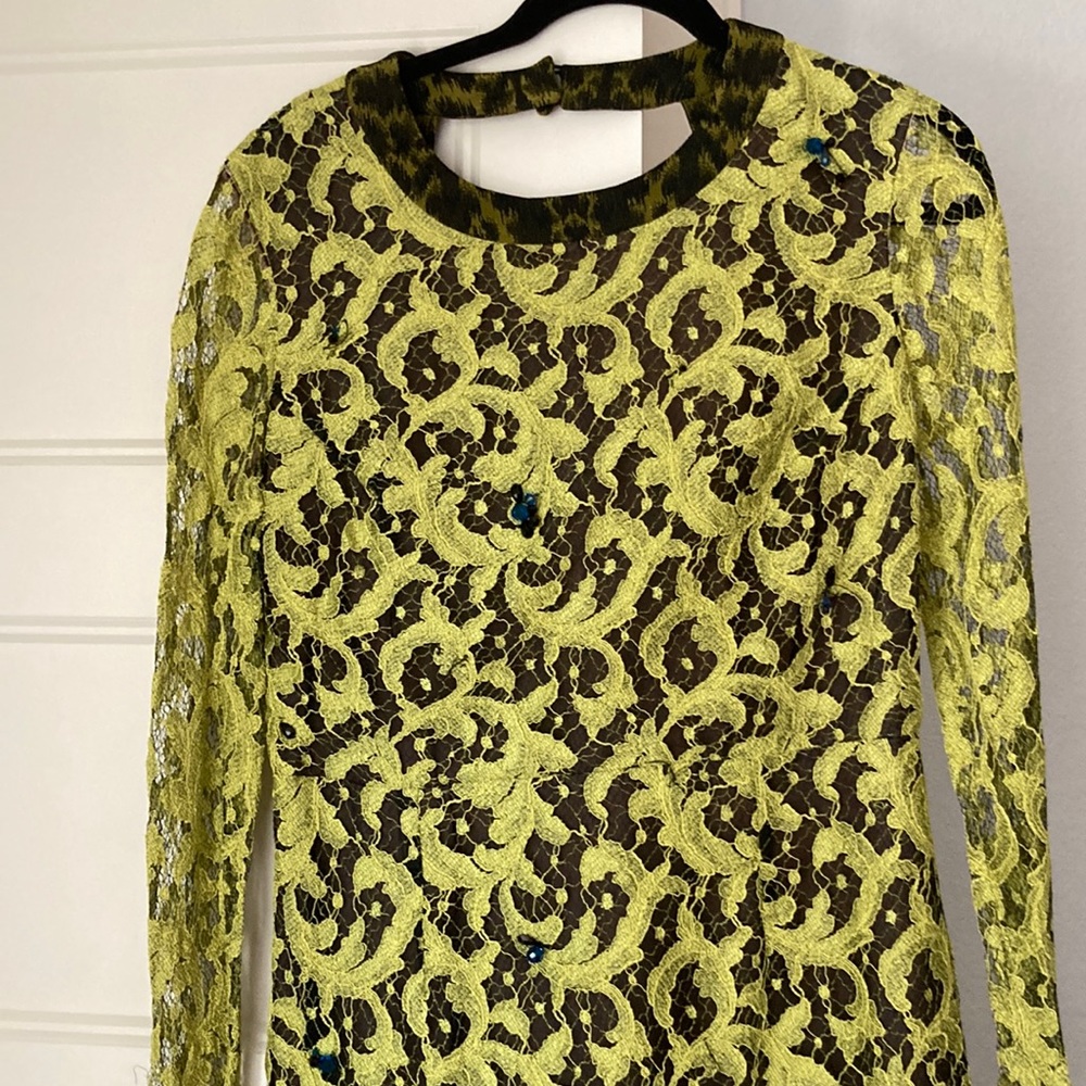 Absolutely gorgeous Erdem dress